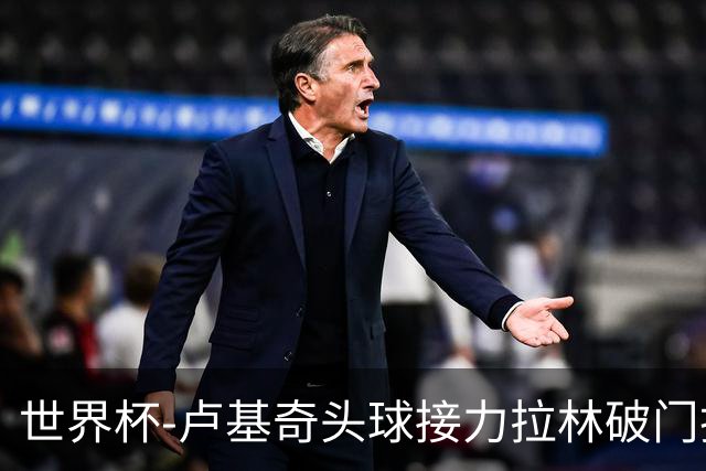 世界杯-卢基奇头球接力拉林破门扳平 加拿大1-1波黑